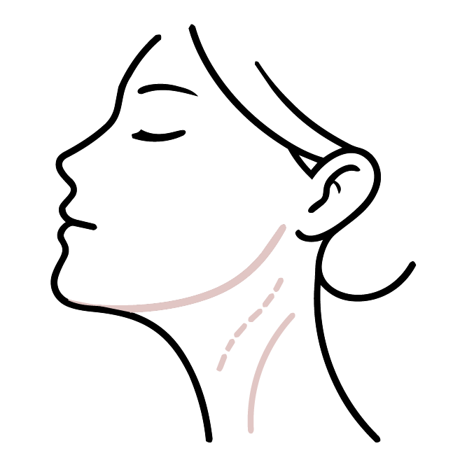 希望整合調整者